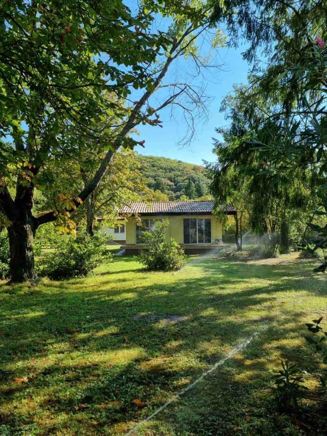 Fuk-Tak'S Bungalow Dojran Экстерьер фото