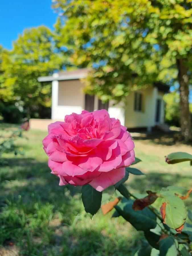 Fuk-Tak'S Bungalow Dojran Экстерьер фото