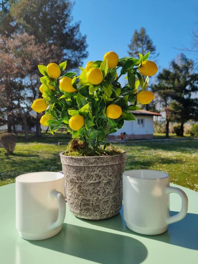 Fuk-Tak'S Bungalow Dojran Экстерьер фото